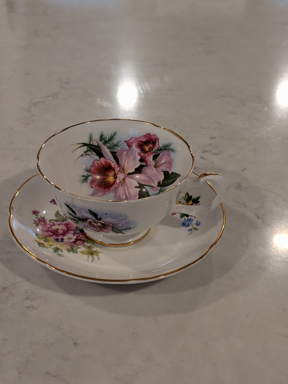 Royal Grafton  Floral Gold-Trim Porcelain Teacup and Saucer - Pink Floral